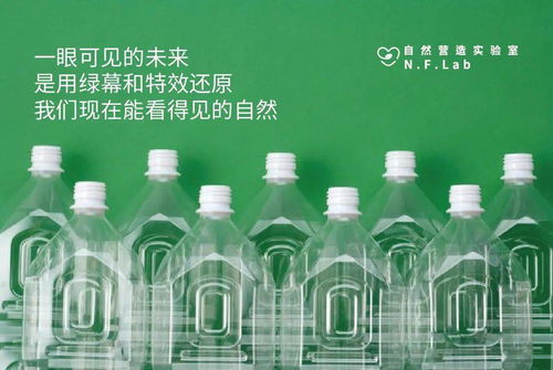 自然营造实验室志愿者招募 莫干山