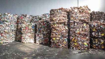 吃塑料的细菌 环境救星还是生态隐患？